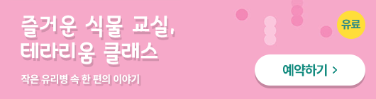 (유료)즐거운 식물 교실, 테라리움 클래스. 작은 유리병 속 한 편의 이야기 예약하기