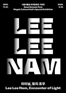 이이남, 빛의 조우(Lee Lee Nam, Encounter of Light)