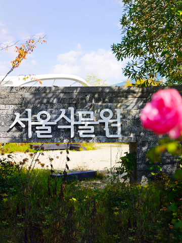 Autumn at Seoul Botanical Garden01