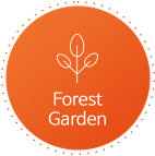 Forest Garden
