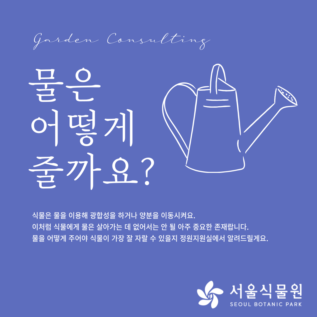 Garden Consulting
물은 어떻게 줄까요? 
식물을 물을 이용해 광합성을 하거나 양분을 이동시켜요. 
이처럼 식물에게 물은 살아가는 데 없어서는 안 될 아주 중요한 존재랍니다. 
물을 어떻게 주어야 식물이 가장 잘 자랄 수 있을지 정원지원실에서 알려드릴게요. 
서울식물원 seoul botanic park