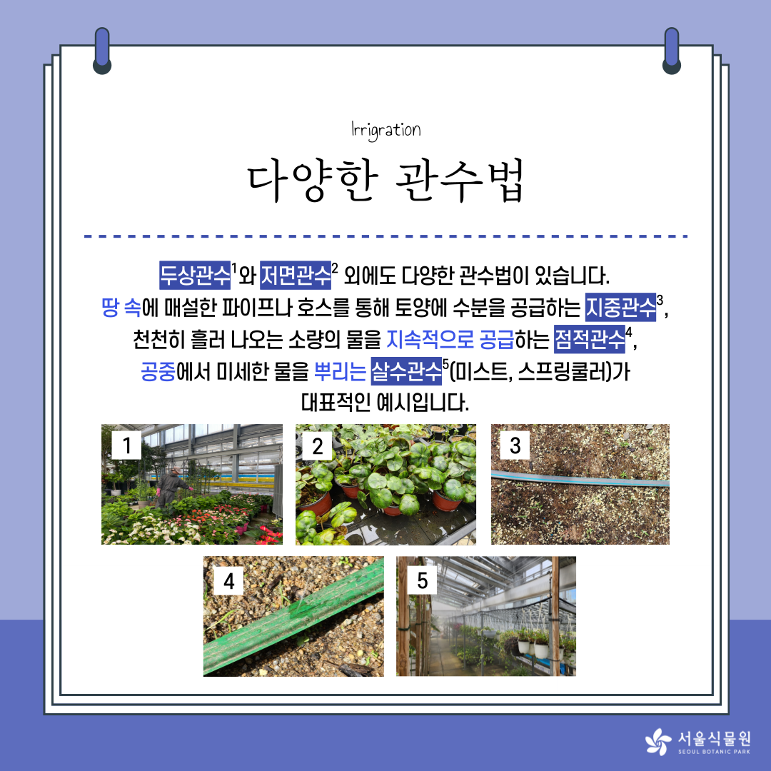 Irrigation 
다양한 관수법 
두상관수와 저면관수 외에도 다양한 관수법이 있습니다. 
땅 속에 매설한 파이프나 호스를 통해 토양에 수분을 공급하는 지중관수, 
천천히 흘러 나오는 소량의 물을 지속적으로 공급하는 점적관수, 
공중에서 미세한 물을 뿌리는 살수관수(미스트, 스프링쿨러)가 
대표적인 예시입니다. 
