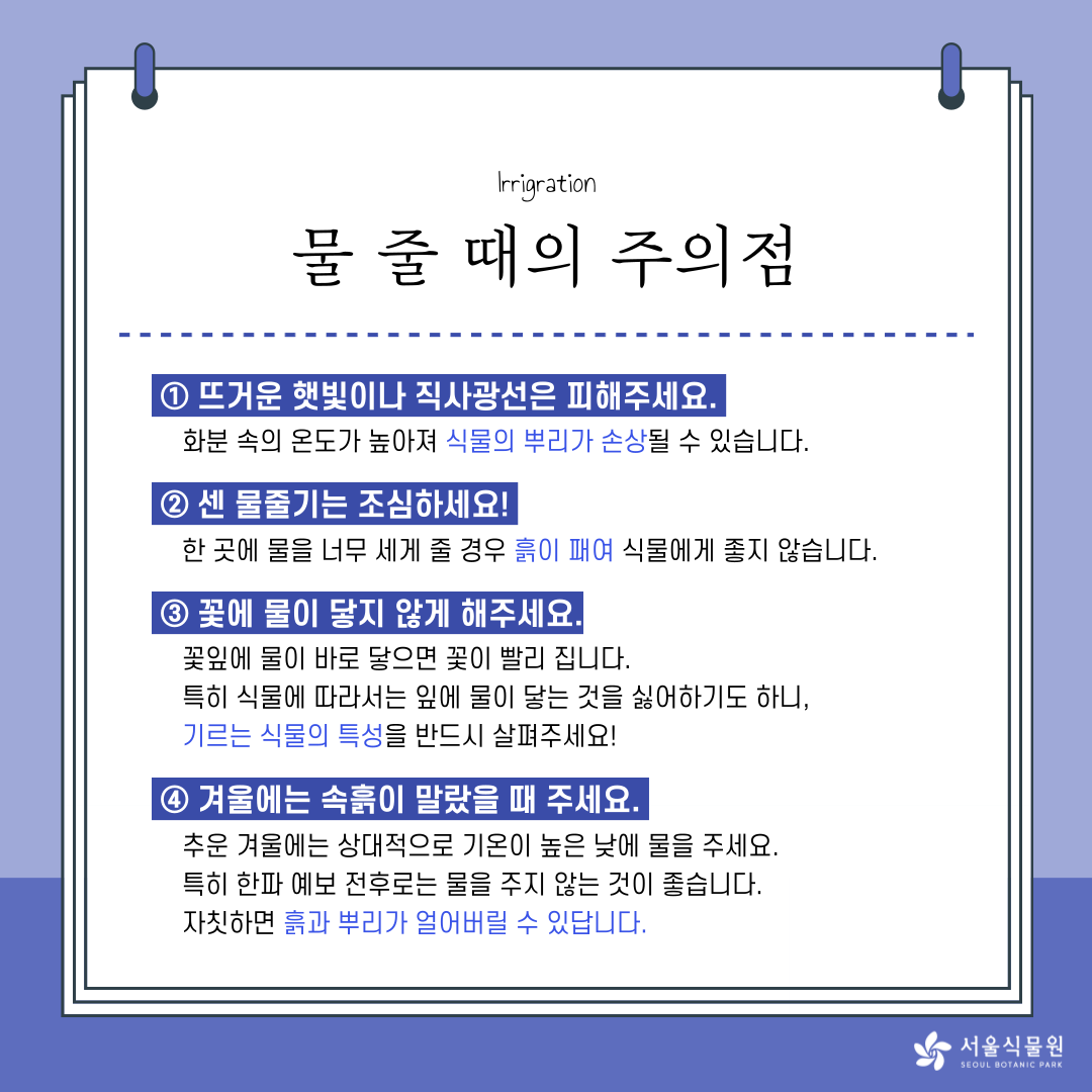 Irrigation 
물 줄 때의 주의점 
1. 뜨거운 햇빛이나 직사광선은 피해주세요. 
화분 속의 온도가 높아져 식물의 뿌리가 손상될 수 있습니다. 
2. 센 물줄기는 조심하세요! 
한 곳에 물을 너무 세게 줄 경우 흙이 패여 식물에게 좋지 않습니다. 
3. 꽃에 물이 닿지 않게 해주세요. 
꽃잎에 물이 바로 닿으면 꽃이 빨리 집니다. 
특히 식물에 따라서는 잎에 물이 닿는 것을 싫어하기도 하니, 
기르는 식물의 특성을 반드시 살펴주세요! 
4. 겨울에는 속흙이 말랐을 때 주세요. 
추운 겨울에는 상대적으로 기온이 높은 낮에 물을 주세요. 
특히 한파 예보 전후로는 물을 주지 않는 것이 좋습니다. 
자칫하면 흙과 뿌리가 얼어버릴 수 있답니다. 
