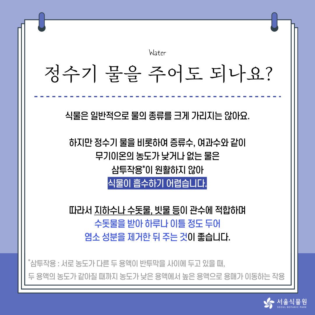 Water 
정수기 물을 주어도 되나요? 
식물은 일반적으로 물의 종류를 크게 가리지은 않아요. 
하지만 정수기 물을 비롯하여 증류수, 여과수와 같이 
무기이론의 농도가 낮거나 없는 물은 
*삼투작용이 원활하지 않아 
식물이 흡수하기 어렵습니다. 
따라서 지하수나 수돗물, 빛물 등이 관수에 적합하며 
수돗물을 받아 하루나 이틀 정도 두어 
염소 성분을 제거한 뒤 주는 것이 좋습니다. 
*삼투작용 : 서로 농도가 다른 두 용액이 반투막을 사이에 두고 있을 때, 
두 용액의 농도가 같아질 때까지 농도가 낮은 용액에서 높은 용액으로 용매가 이동하는 작용 