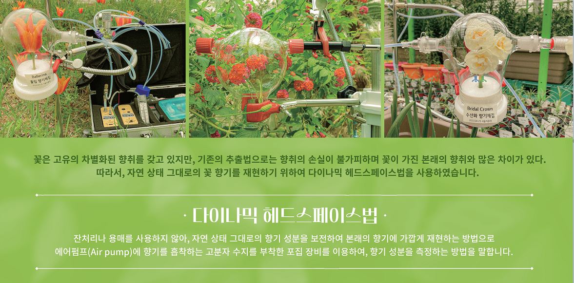 꽃은 고유의 차별화된 향취를 갖고 있지만, 기존의 추출법으로는 향취의 손실이 불가피하여 꽃이 가진 본래의 향취와 많은 차이가 있다. 따라서, 자연 상태 그대로의 꽃 향기를 재현하기 위하여 다이나믹 헤드스페이스법을 사용하였습니다. 다이나믹 헤드스페이스법 : 잔처리나 용매를 사용하지않아, 자연 상태 그대로의 향기 성분을 보전하여 본래의 향기에 가깝게 재현하는 방법으로 에어펌프(Air pump)에 향기를 흡착하는 고분자 수지를 부착한 포집 장비를 이용하여, 향기 성분을 측정하는 방법을 말합니다.