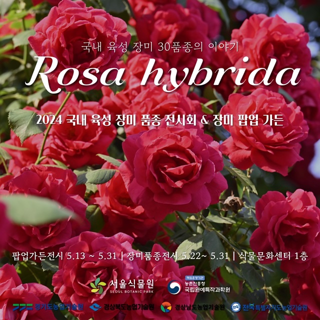 국내 육성 장미 30품종의 이야기
Rosa hybrida
2024 국내 육성 장미 품종 전시회 & 장미 팝업 가든
팝업가든전시 5.13.~5.31 , 장미품종전시 5.22.~5.31, 식물문화센터 1층
서울식물원, 농촌진흥청 국립원예특작과학원, 경기도농업기술원, 경상북도농업기술원, 경상남도농업기술원, 전북특별자치도농업기술원