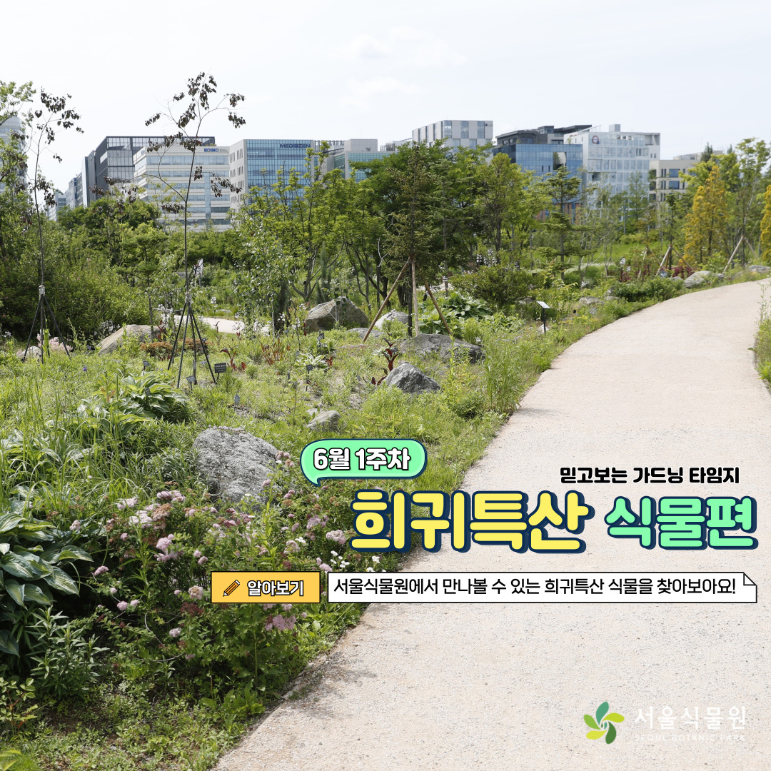 6월 1주차 믿고보는 가드닝 타임지 희귀특산 식물편
알아보기 서울식물원에서 만나볼 수 있는 희귀특산 식물을 찾아보아요