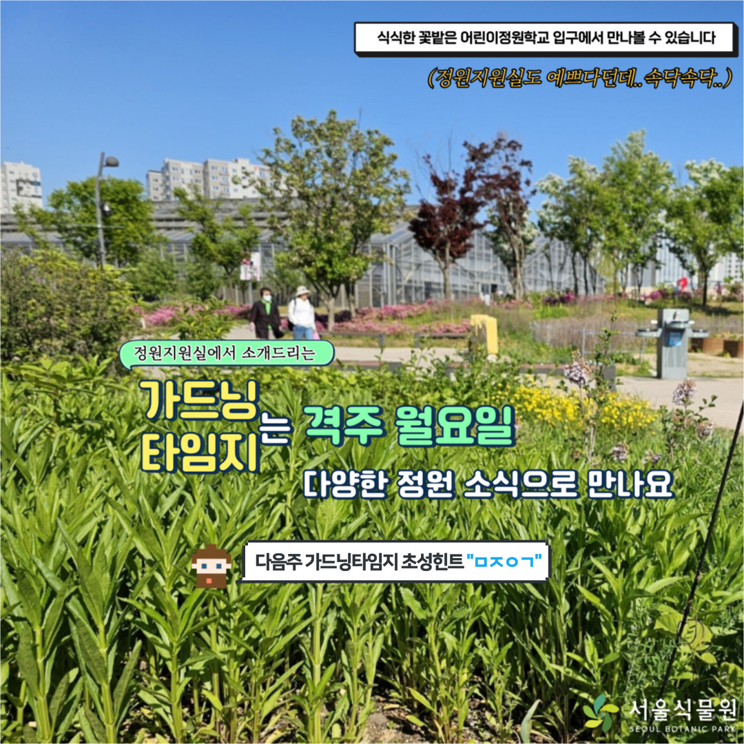 식식한 꽃밭은 어린이정원학교 입구에서 만나볼 수 있습니다. (정원지원실도 예쁘다던데..속닥속닥..)
정원지원실에서 소개드리는 가드닝 타임지는 격주 월요일 다양한 정원 소식으로 만나요
다음주 가드닝타임지 초성힌트 “ㅁㅈㅇㄱ”
