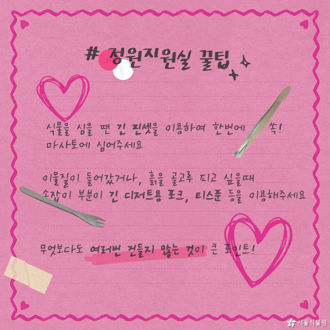 정원지원실 꿀팁
식물을 심을 땐 긴 핀셋을 이용하여 한번에 쏙 마사토에 심어주세요.
이물질이 들어갔거나, 흙을 골고루 피고 싶을 때 손잡이 부분이 긴 디저트용 포크, 티스푼 등을 이용해주세요.
무엇보다도 여러 번 건들지 않는 것이 큰 포인트.