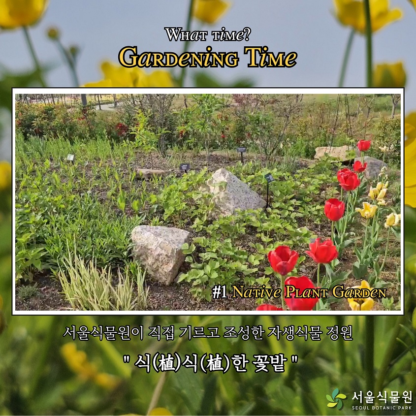 What time? Gardening Time 1.	Native Plant Garden 서울식물원이 직접 기르고 조성한 자생식물 정원 “식식한 꽃밭”