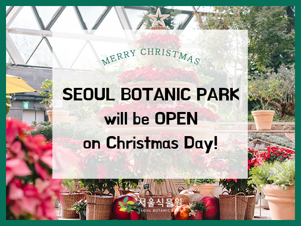 MERRY CHRISTMAS SEOUL BOTANIC PARK will be OPEN ON Christmas Day!