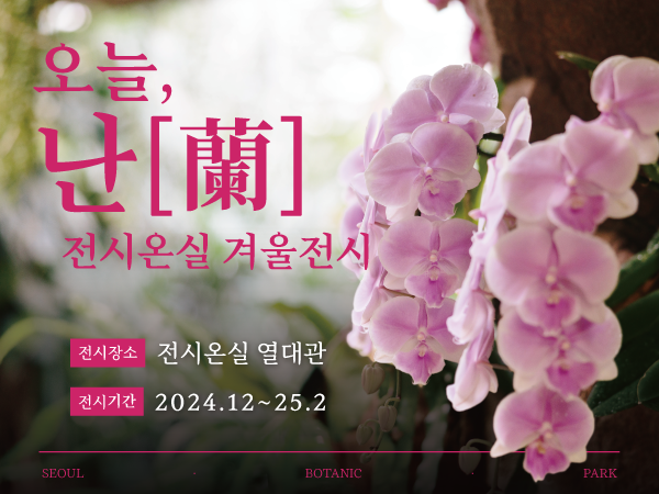 오늘, 난 전시온실 겨울전시 전시장소 : 전시온실 열대관, 전시기간 : 2024.12.~25.2. SEOUL BOTANIC PARK