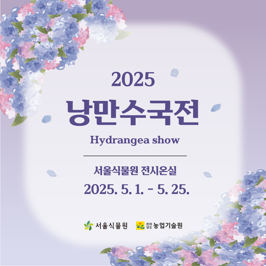 2025 낭만수국전 Hydrangea show 서울식물원 전시온실 2025년5월1일부터 5월25일까지 서울식물원 전라남도농업기술원