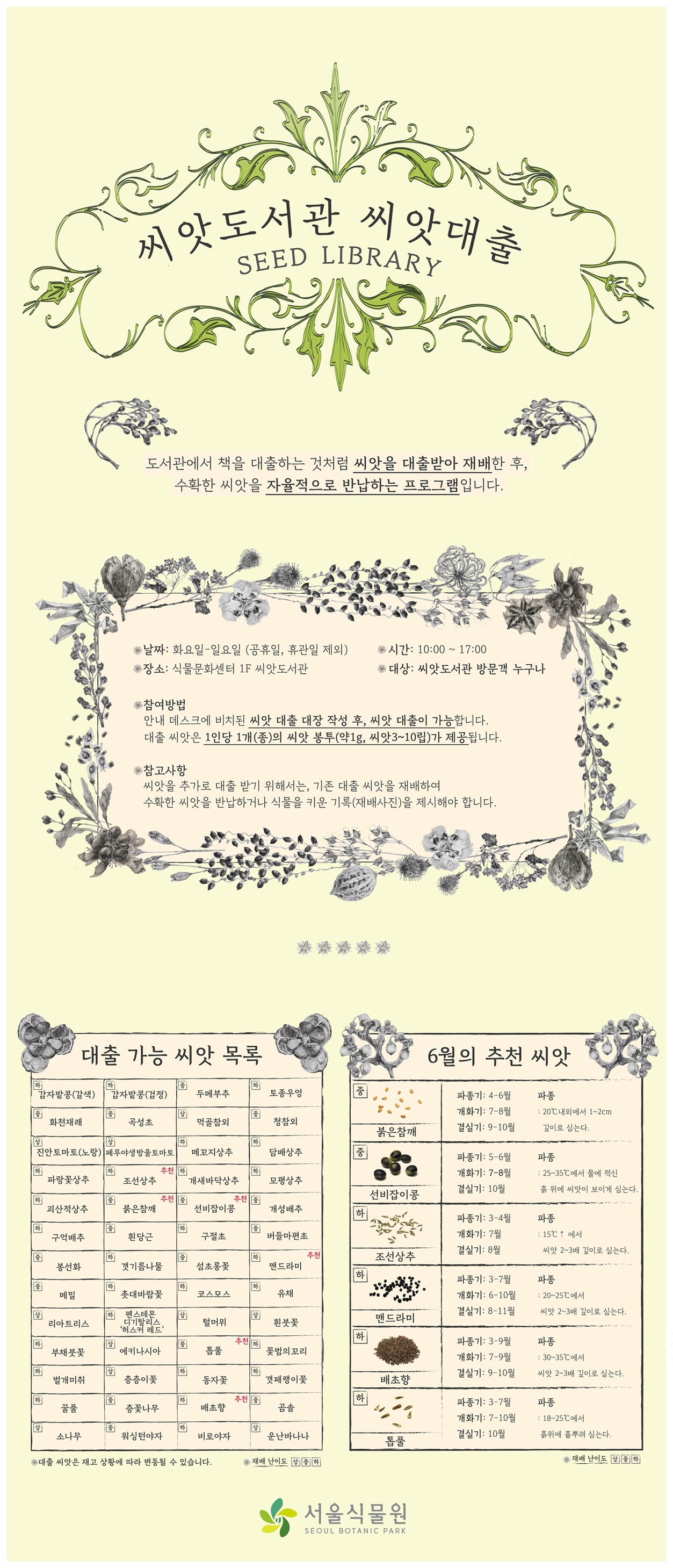 씨앗도서관 씨앗대출 SEED LIBRARY 도서관에서 책을 대출하는 것처럼 씨앗을 대출받아 재배한 후, 수확한 씨앗을 자율적으로 반납하는 프로그램입니다. 날짜는 화요일에서 일요일까지, 공휴일, 휴관일 제외, 시간은 10시부터 17시까지, 장소는 식물문화센터 지상1층 씨앗도서관, 대상은 씨앗도서관 방문객 누구나, 참여방법은 안내 데스크에 비치된 씨앗 대출 대장 작성 후, 씨앗 대출이 가능합니다. 대출 씨앗은 1인당 1개 종의 씨앗봉투 약1그램, 씨앗 3에서 10립이 제공됩니다. 참고사항 씨앗을 추가로 대출받기 위해서는 기존 대출 씨앗을 재배하여 수확한 씨앗을 반납하거나 식물을 키운 기록 재배사진을 제시해야 합니다. 대출 가능 씨앗 목록 난이도 하 감자밭콩 갈색, 난이도 하 감자밭콩 검정, 난이도 중 두메부추, 난이도 하 토종우엉, 난이도 중 화천재래, 난이도 중 곡성초, 난이도 상 먹골참외, 난이도 중 청참외, 난이도 상 진안토마토 노랑, 난이도 상 페루야생방울토마토, 난이도 하 메꼬지상추, 난이도 하 담배상추, 난이도 하 파랑꽃상추, 난이도 하 조선상추 추천, 난이도 하 개새바닥상추, 난이도 하 모평상추, 난이도 하 괴산적상추, 난이도 중 붉은참깨 추천, 난이도 중 선비잡이콩 추천, 난이도 중 개성배추, 난이도 하 구억배추, 난이도 중 흰당근, 난이도 하 구절초, 난이도 중 버들마편초, 난이도 중 봉선화, 난이도 하 갯기름나물, 난이도 중 섬초롱꽃, 난이도 하 맨드라미 추천, 난이도 중 메밀, 난이도 하 촛대바람꽃, 난이도 하 코스모스, 난이도 하 유채, 난이도 상 리아트리스, 난이도 하 펜스테몬 디기탈리스 허스커 레드, 난이도 상 털머위, 난이도 상 흰붓꽃, 난이도 하 부채붓꽃, 난이도 상 에키나시아, 난이도 중 톱풀 추천, 난이도 하 꽃범의꼬리, 난이도 하 벌개미취, 난이도 상 층층이꽃, 난이도 하 동자꽃, 난이도 하 갯패랭이꽃, 난이도 하 꿀풀, 난이도 중 층꽃나무, 난이도 하 배초향 추천, 난이도 중 곰솔, 난이도 상 소나무, 난이도 중 워싱턴야자, 난이도 하 비로야자, 난이도 상 운난바나나, 대출 씨앗은 재고 상황에 따라 변동될 수 있습니다. 6월의 추천 씨앗 난이도 중 붉은참깨 파종기 4에서 6월, 개화기 7에서 8월, 결실기 9에서 10월, 파종 20도 내외에서 1에서 2센티미터 깊이로 심는다. 난이도 중 선비잡이콩 파종기 5에서 6월, 개화기 7에서 8월, 결실기 10월, 파종 25에서 35도에서 물에 적신 흙 위에 씨앗이 보이게 심는다. 난이도 하 조선상추 파종기 3에서 4월, 개화기 7월, 결실기 8월, 파종 15도 이상에서 씨앗 2에서 3배 깊이로 심는다. 난이도 하 맨드라미 파종기 3에서 7월, 개화기 6에서10월, 결실기 8에서 11월, 파종 20에서 25도에서 씨앗 2에서 3배 깊이로 심는다. 난이도 하 배초향 파종기 3에서9월, 개화기 7에서 9월, 결실기 9에서 10월, 파종 30에서 35도에서 씨앗 2에서 3배 깊이로 심는다. 난이도 하 톱풀 파종기 3에서 7월, 개화기 7에서 10월, 결실기 10월, 파종 18에서 25도에서 흙위에 흩뿌려 심는다. 서울식물원