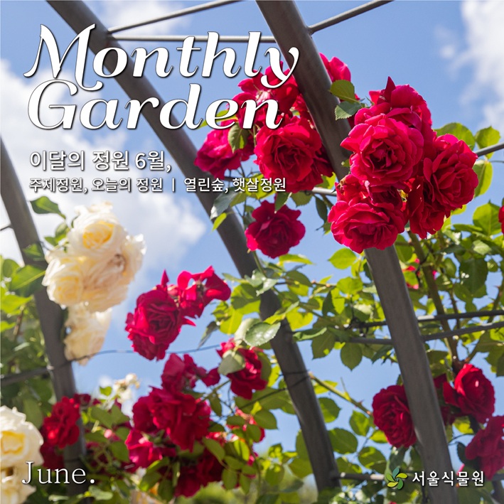 Monthly Garden 이달의 정원 6월, 주제정원-오늘의 정원, 열린숲-햇살정원, June, 서울식물원