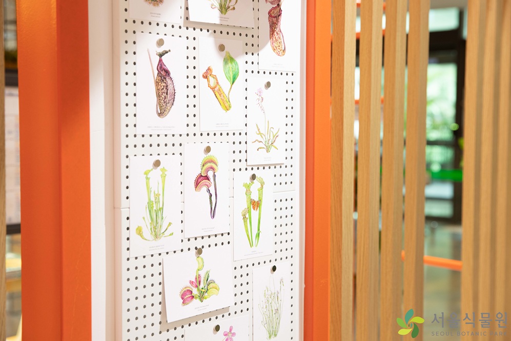 2024년 여름기획전시 사진8