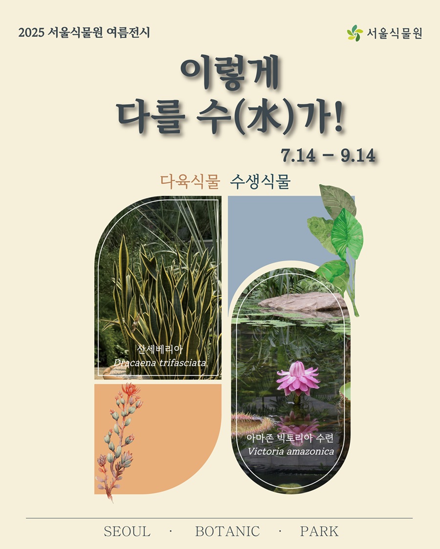 2025 서울식물원 여름전시 이렇게 다를 수가! 서울식물원로고
7월14일부터 9월14일까지, 다육식물과 수생식물 전시
산세베리아, 아마존 빅토리아 수련 사진
SEOUL BOTANIC PARK