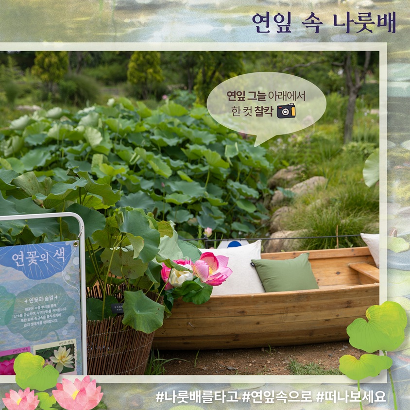 연잎 속 나룻배
연잎 그늘 아래에서 한 컷 찰칵 사진기 그림
나룻배를 타고, 연잎속으로, 떠나보세요
