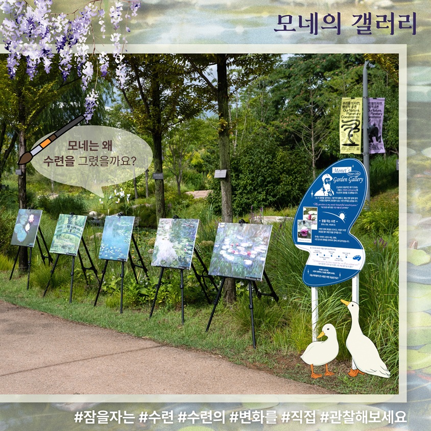 모네의 갤러리
모네는 왜 수련을 그렸을까요?
잠을자는, 수련, 수련의, 변화를, 직접, 관찰해보세요