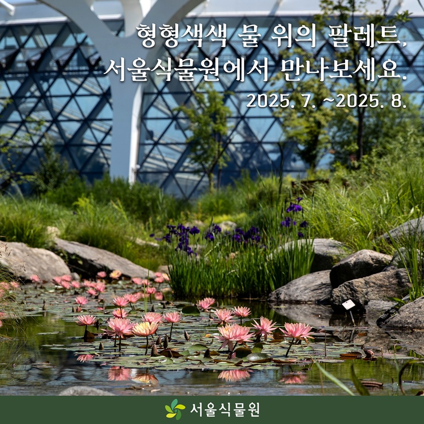 형형색색 물 위의 팔레트, 서울식물원에서 만나보세요.
2025년 7월부터 2025년 8월까지
서울식물원