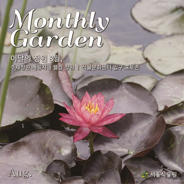 Monthly Garden 이달의 정원8월, 주제정원 계류지, 웰컴 정원, 식물문화센터 입구 포토존
수련사진 Aug. 서울식물원