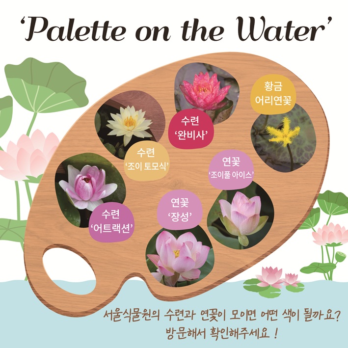 Palette on the water
황금 어리연꽃, 연꽃 ’조이풀 아이스’, 연꽃 ’장성’, 수련 ’어트랙션’, 수련 ’조이 토모식’, 수련 ’완비사’
서울식물원의 수련과 연꽃이 모이면 어떤 색이 될까요? 방문해서 확인해주세요!