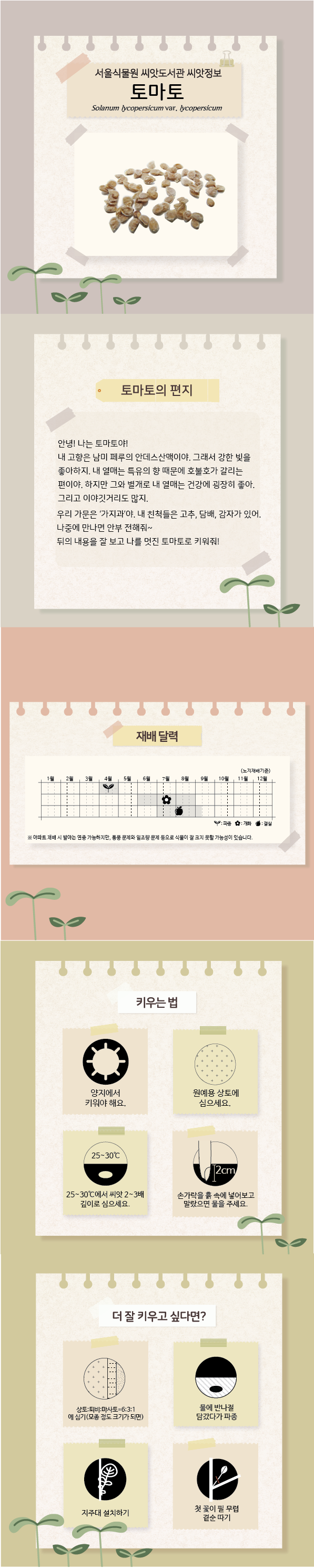 토마토