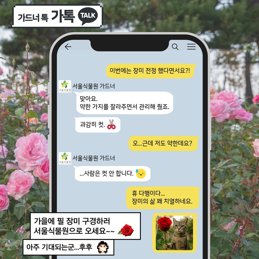 가드너 톡 가톡 TALK
이번에는 장미 전정 했다면서요?!
서울식물원 가드너: 맞아요. 약한 가지를 잘라주면서 관리해 줬죠. 과감히 컷. 
오…근데 저도 약한데요?
서울식물원 가드너: …사람은 컷 안 합니다. 
휴 다행이다… 장미의 삶 꽤 치열하네요.
가을에 필 장미 구경하러 서울식물원으로 오세요~~
아주 기대되는군…후후