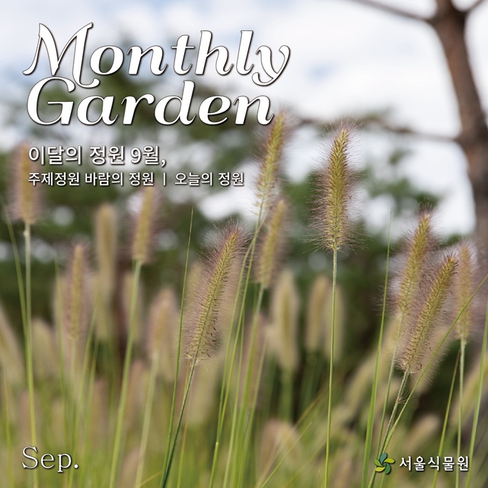 Monthly Garden 이달의 정원 9월, 주제정원 바람의 정원, 오늘의 정원, Sep. 서울식물원