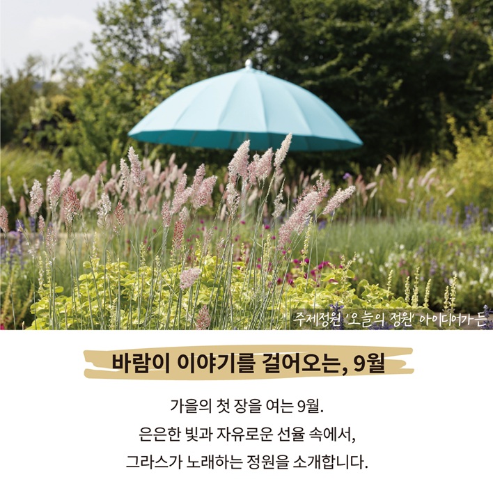 주제정원 ‘오늘의 정원’아이디어가 든
바람이 이야기를 걸어오는, 9월
가을의 첫 장을 여는 9월.
은은한 빛과 자유로운 선율 속에서,
그라스가 노래하는 정원을 소개합니다.