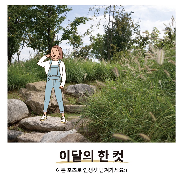 이달의 한 컷
예쁜 포즈로 인생샷 남겨가세요.