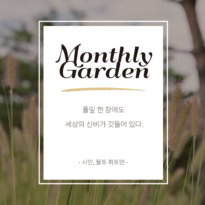 Monthly Garden
풀잎 한 장에도 세상의 신비가 깃들어 있다
시인, 월트 휘트먼
