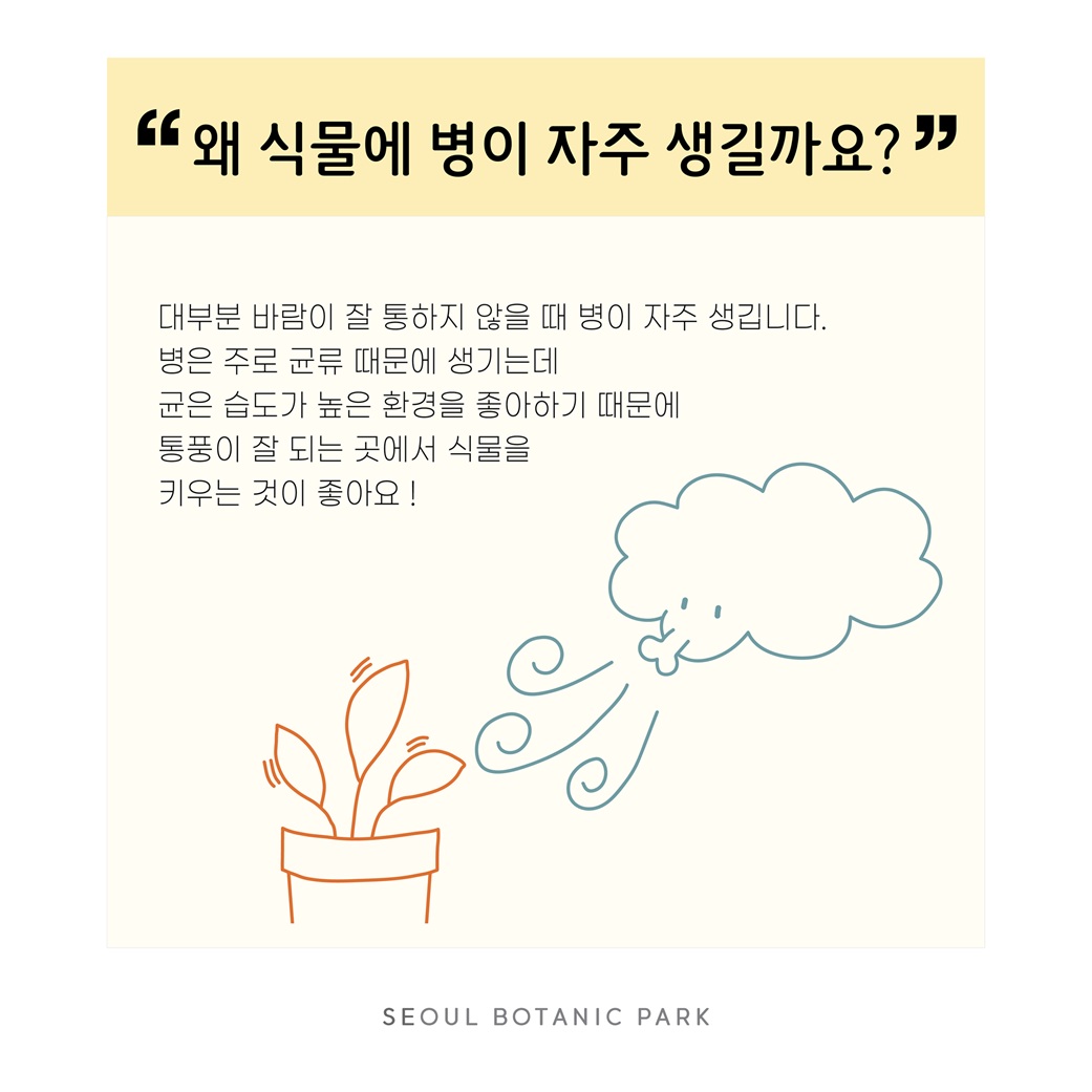 Q22. 왜 식물에 병이 자주 생길까요?
대부분 바람이 잘 통하지 않을 때 병이 자주 생깁니다.
병은 주로 균류 때문에 생기는데 균은 습도가 높은 환경을 좋아하기 때문에 통풍이 잘 되는 곳에서 식물을 키우는 것이 좋아요!
SEOUL BOTANIC PARK