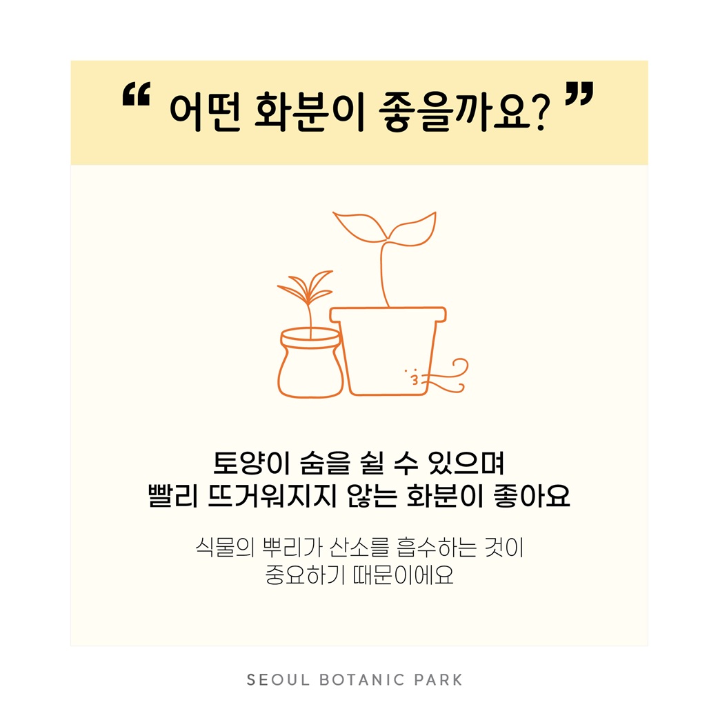 Q14. 어떤 화분이 좋을까요?
토양이 숨을 쉴 수 있으며 빨리 뜨거워지지 않는 화분이 좋아요.
식물의 뿌리가 산소를 흡수하는 것이 중요하기 때문이에요.
SEOUL BOTANIC PARK