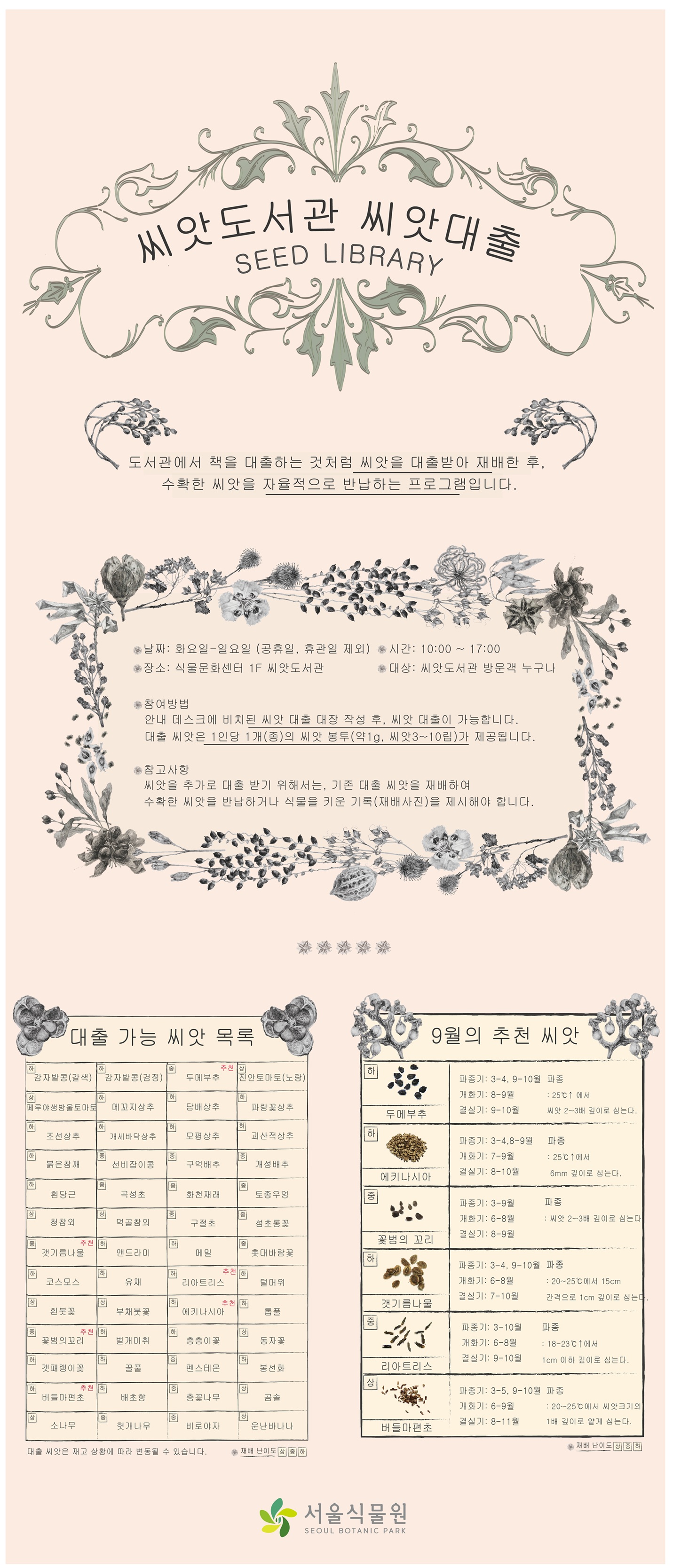 씨앗도서관 씨앗대출 SEED LIBRARY
도서관에서 책을 대출하는 것처럼 씨앗을 대출받아 재배한 후, 수확한 씨앗을 자율적으로 반납하는 프로그램입니다.
날짜 화요일에서 일요일까지(공휴일, 휴관일 제외)
장소: 식물문화센터 1층 씨앗도서관
시간: 10시부터 17시까지
대상: 씨앗도서관 방문객 누구나
참여방법: 안내 데스크에 비치된 씨앗 대출 대장 작성 후, 씨앗 대출이 가능합니다. 대출 씨앗은 1인당 1개(종)의 씨앗 봉투(약1g, 씨앗 3-10립)가 제공됩니다.
참고사항: 씨앗을 추가로 대출받기 위해서는, 기존 대출 씨앗을 재배하여 수확한 씨앗을 반납하거나 식물을 키운 기록(재배사진)을 제시해야 합니다.
대출 가능 씨앗 목록
난이도 하 감자밭콩(갈색), 난이도 하 감자밭콩(검정), 난이도 중 두메부추 추천, 난이도 상 진안토마토(노랑), 난이도 상 페루야생방울토마토, 난이도 하 메꼬지 상추, 난이도 하 담배상추, 난이도 하 파랑꽃상추, 난이도 하 조선상추, 난이도 하 개세바닥상추, 난이도 하 모평상추, 난이도 하 괴산적상추, 난이도 하 붉은참깨, 난이도 중 선비잡이콩, 난이도 중 구억배추, 난이도 중 개성배추, 난이도 하 흰당근, 난이도 중 곡성초, 난이도 중 화천재래, 난이도 중 토종우엉, 난이도 상 청참외, 난이도 상 먹골참외, 난이도 중 구절초, 난이도 중 섬초롱꽃, 난이도 중 갯기름나물 추천, 난이도 하 맨드라미, 난이도 하 메밀, 난이도 중 촛대바람꽃, 난이도 하 코스모스, 난이도 하 유채, 난이도 하 리아트리스 추천, 난이도 하 털머위, 난이도 상 흰뿟꽃, 난이도 상 부채붓꽃, 난이도 하 에키나시아 추천, 난이도 하 톱풀, 난이도 중 꽃범의꼬리 추천, 난이도 하 벌개미취, 난이도 하 층층이꽃, 난이도 상 동자꽃, 난이도 하 갯패랭이꽃, 난이도 하 꿀풀, 난이도 중 펜스테몬, 난이도 하 봉선화, 난이도 하 버들마편초 추천, 난이도 하 배초향, 난이도 중 층꽃나무, 난이도 상 곰솔, 난이도 상 소나무, 난이도 중 헛개나무, 난이도 중 비로야자, 난이도 상 운난바나나
대출 씨앗은 재고 상황에 따라 변동될 수 있습니다. 재배 난이도 상, 중, 하
9월의 추천 씨앗
난이도 하 두메부추
파종기: 3-4, 9-10월, 개화기: 8-9월, 결실기: 9-10월, 파종: 25도 이상에서 씨앗 2-3배 깊이로 심는다.
난이도 하 에키나시아
파종기: 3-4, 8-9월, 개화기: 7-9월, 결실기: 8-10월, 파종: 25도 이상에서 6mm 깊이로 심는다.
난이도 중 꽃범의 꼬리
파종기: 3-9월, 개화기: 6-8월, 결실기: 8-9월, 파종: 씨앗 2-3배 깊이로 심는다.
난이도 하 갯기름나물
파종기: 3-4, 9-10월, 개화기: 6-8월, 결실기: 7-10월, 파종: 20-25도에서 15cm 간격으로 1cm 깊이로 심는다. 
난이도 중 리아트리스
파종기: 3-10월, 개화기: 6-8월, 결실기: 9-10월, 파종: 18-23도 이상에서 1cm 이하 깊이로 심는다.
난이도 상 버들마편초
파종기: 3-5, 9-10월, 개화기: 6-9월, 결실기: 8-11월, 파종: 20-25도에서 씨앗크기의 1배 깊이로 얕게 심는다.
재배 난이도 상, 중, 하
서울식물원