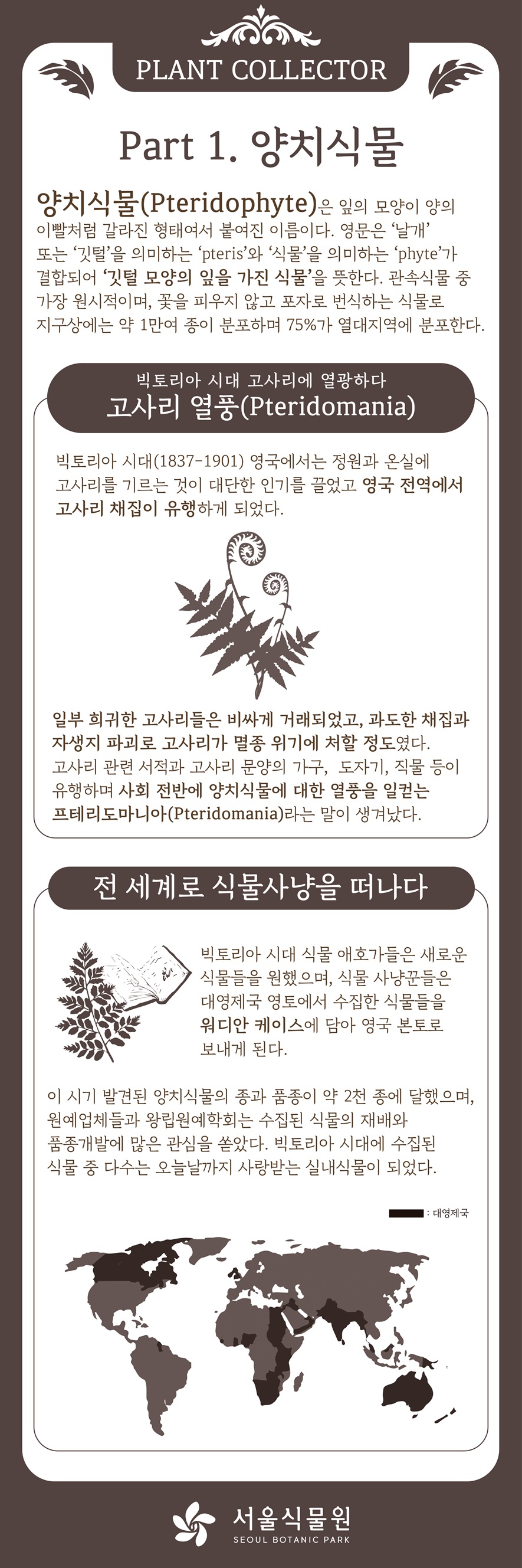 PLANT COLLECTOR Part 1. 양치식물
양치식물(Pteridophyte)의 어원은 잎의 모양이 양의 이빨처럼 갈라진 모양이라서 붙여졌고, 영문명은 날개 또는 깃털을 의미하는 ‘pteris’와 식물을 의미하는 ‘phyte’가 결합되어 ‘깃털 모양의 잎을 가진 식물’이라는 의미이다. 관속식물 중에서 가장 원시적이며 꽃이 피지 않고 종자 대신 포자를 통해 번식하는 식물로 지구상에 1만여 종이 분포하며 75%가 열대지방에 분포한다.
빅토리아 시대 고사리에 열광하다. 고사리 열풍(Pteridomamia)
빅토리아 시대(1837년~1901년)영국에서는 정원과 온실에 고사리를 기르는 것이 대단한 인기를 끌었고 영국 전역에서 고사리 채집이 유행하게 되었다.
고사리 그림
희귀한 고사리들은 비싸게 거래되었고 과도한 채집으로 인해 자생지가 파괴되어 고사리가 멸종위기에 처할 정도였다. 고사리 관련 서적과 고사리 문양의 가구, 도자기, 작물도 유행하며 빅토리아 시대 전반에 양치식물에 대한 열풍을 의미하는 프테리도마니아(Pteridomania)라는 말이 생겨나왔다.
전 세계로 식물사냥을 떠나다.
양치식물과 책 그림
빅토리아 시대 식물애호가들은 새로운 식물들을 원하게 되었고 식물사냥꾼들은 대영제국 영토에서 수집한 식물들을 워디안 케이스에 담아 영국본토로 보내게 된다.
이 시기 발견된 양치식물의 종과 품종이 2천 종에 가까웠고 원예업체들과 왕립원예학회에서도 수집된 식물의 재배와 품종개발에 많은 관심을 쏟았다. 빅토리아 시대에 수집된 식물 중 다수는 오늘날까지 사랑받는 실내식물이 되었다.
대영제국이 표시된 세계지도
서울식물원