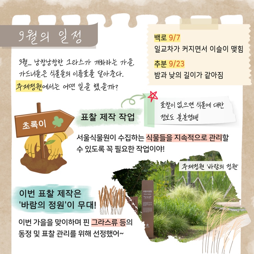 9월의 일정
9월…낭창낭창한 그라스가 개화하는 가을. 가드너들은 식물들의 이름표를 달아준다. 주제정원에서는 어떤 일을 했을까? 
백로 9월 7일 일교차가 커지면서 이슬이 맺힘
추분 9월 23일 밤과 낮의 길이가 같아짐
표찰 제작 작업 표찰이 없으면 식물에 대한 정보도 불분명해!
서울식물원이 수집하는 식물들은 지속적으로 관리할 수 있도록 꼭 필요한 작업이야!
이번 표찰 제작은 ‘바람의 정원’이 무대!
이번 가을을 맞이하며 핀 그라스류 등의 동정 및 표찰 관리를 위해 선정했어!