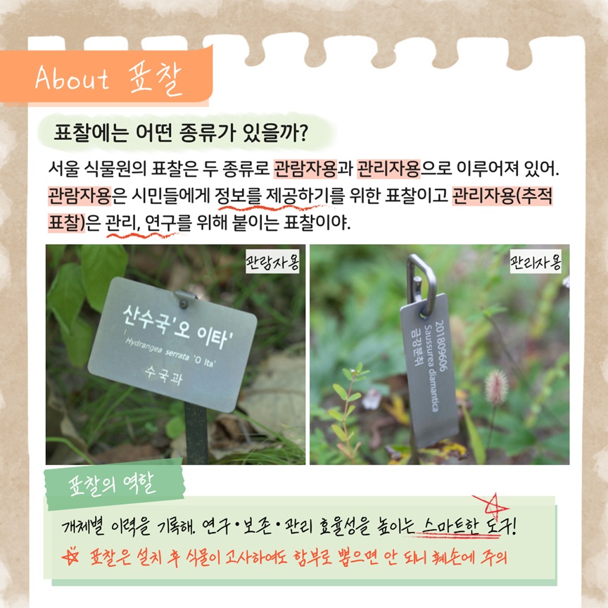 About 표찰
표찰에는 어떤 종류가 있을까?
서울식물원의 표찰은 두 종류로 관람자용과 관리자용으로 이루어져 있어. 관람자용은 시민들에게 정보를 제공하기를 위한 표찰이고 관리자용(추적표찰)은 관리, 연구를 위해 붙이는 표찰이야.
관람자용 표찰 사진, 관리자용 표찰사진
표찰의 역할: 개체별 이력을 기록해. 연구, 보존, 관리 효율성을 높이는 스마트한 도구! 표찰은 설치 후 식물이 고사하여도 함부로 뽑으면 안 되니 훼손에 주의
