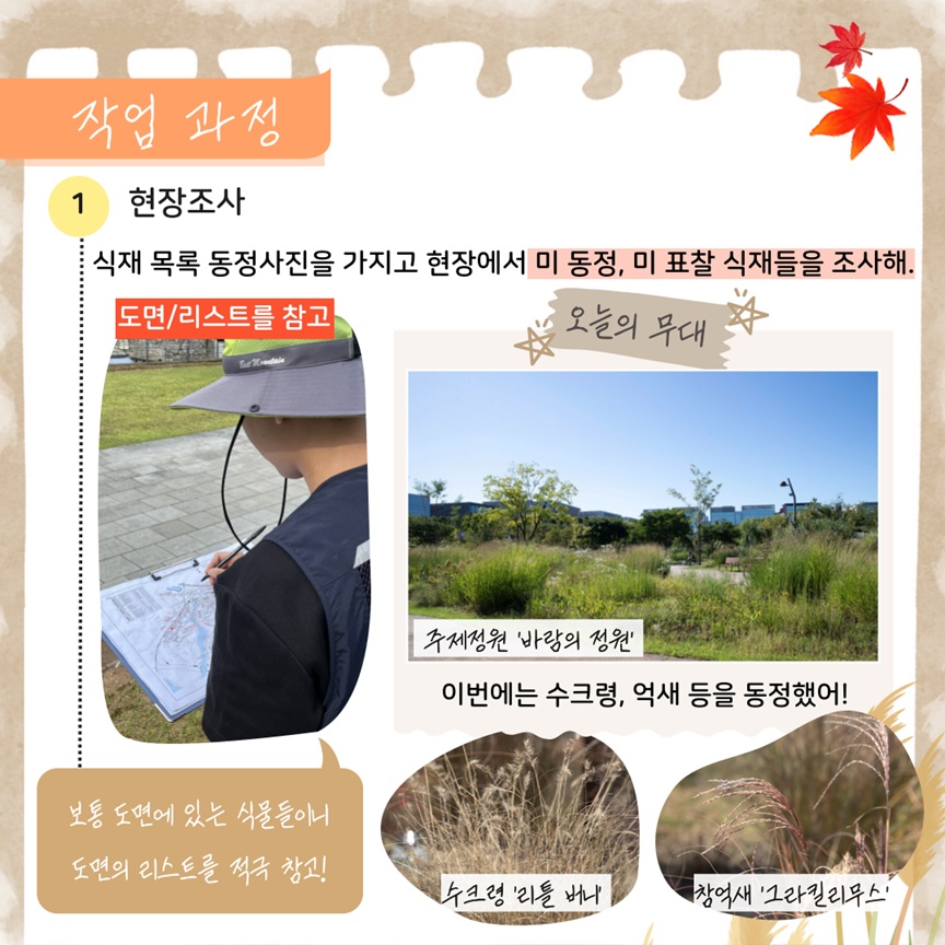 작업 과정
1 현장조사: 식재 목록 동정사진을 가지고 현장에서 미 동정, 미 표찰 식재들을 조사해.
도면, 리스트를 참고. 보통 도면에 있는 식물들이니 도면의 리스트를 적극 참고!
오늘의 무대 주제정원 ‘바람의 정원’ 이번에는 수크령, 억새 등을 동정했어!
수크령 ‘리틀 버니’, 참억새 ‘그라킬리무스’