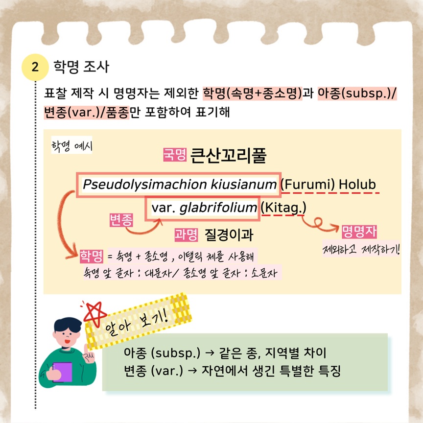 2 학명조사: 표찰 제작 시 명명자는 제외한 학명 (속명, 종소명)과 아종, 변종, 품종만 포함하여 표기해
학명 예시: 국명 큰산꼬리풀, 학명 속명, 종소명, 이탤릭 체를 사용해 속명 앞 글자는 대문자, 종소명 앞 글자는 소문자. 변종표시, 과명 질경이과, 명명자 제외하고 제작하기!
알아보기! 아종: 같은 종, 지역별 차이, 변종: 자연에서 생긴 특별한 특징