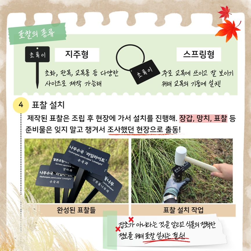 표찰의 종류 
지주형: 초화, 관목, 교목용 등 다양한 사이즈로 제작 가능해
스프링형: 주로 교목에 쓰이고 잘 보이기 위해 교목의 기둥에 설치!
4 표찰 설치
제작된 표찰은 조립 후 현장에 가서 설치를 진행해. 장갑, 망치, 표찰 등 준비물은 잊지 말고 챙겨서 조사했던 현장으로 출동!
완성된 표찰들 사진, 표찰 설치 작업 사진
잡초가 아니라는 것을 알리고 식물의 정확한 정보를 위해 표찰 설치는 필수!
