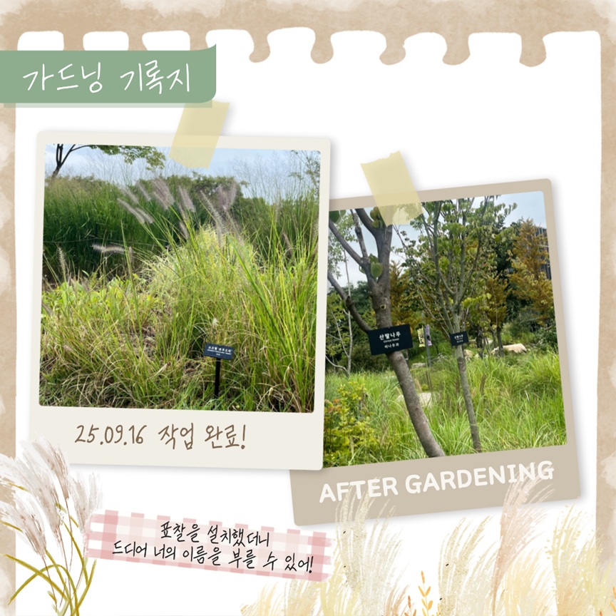 가드닝 기록지
25년 9월 16일 작업 완료!
AFTER GARDENING
표찰을 설치했더니 드디어 너의 이름을 부를 수 있어!