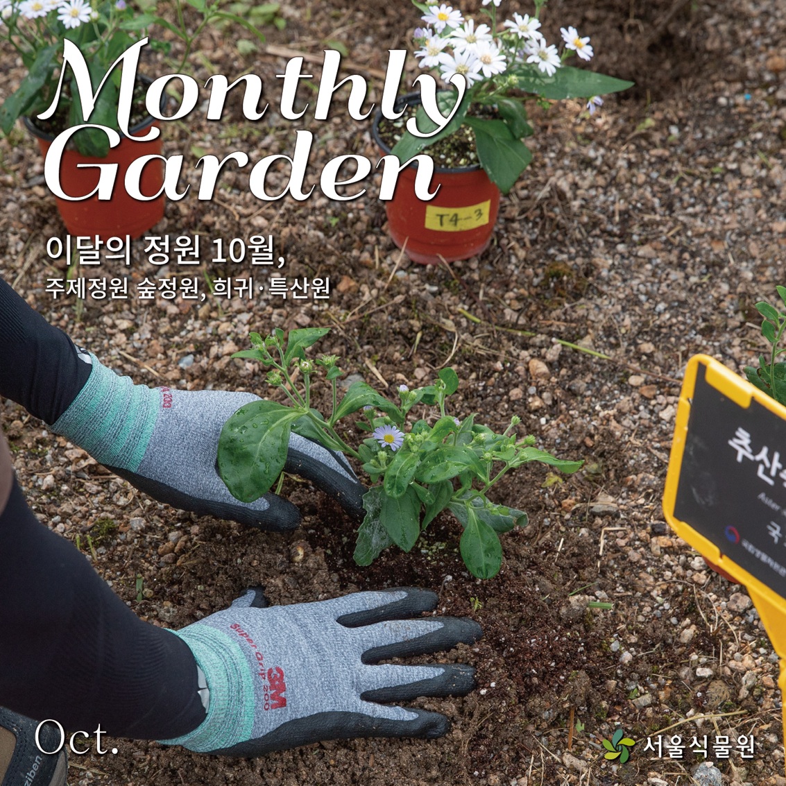 Monthly Garden
이달의 정원 10월, 주제정원 숲정원, 희귀·특산원
Oct. 서울식물원