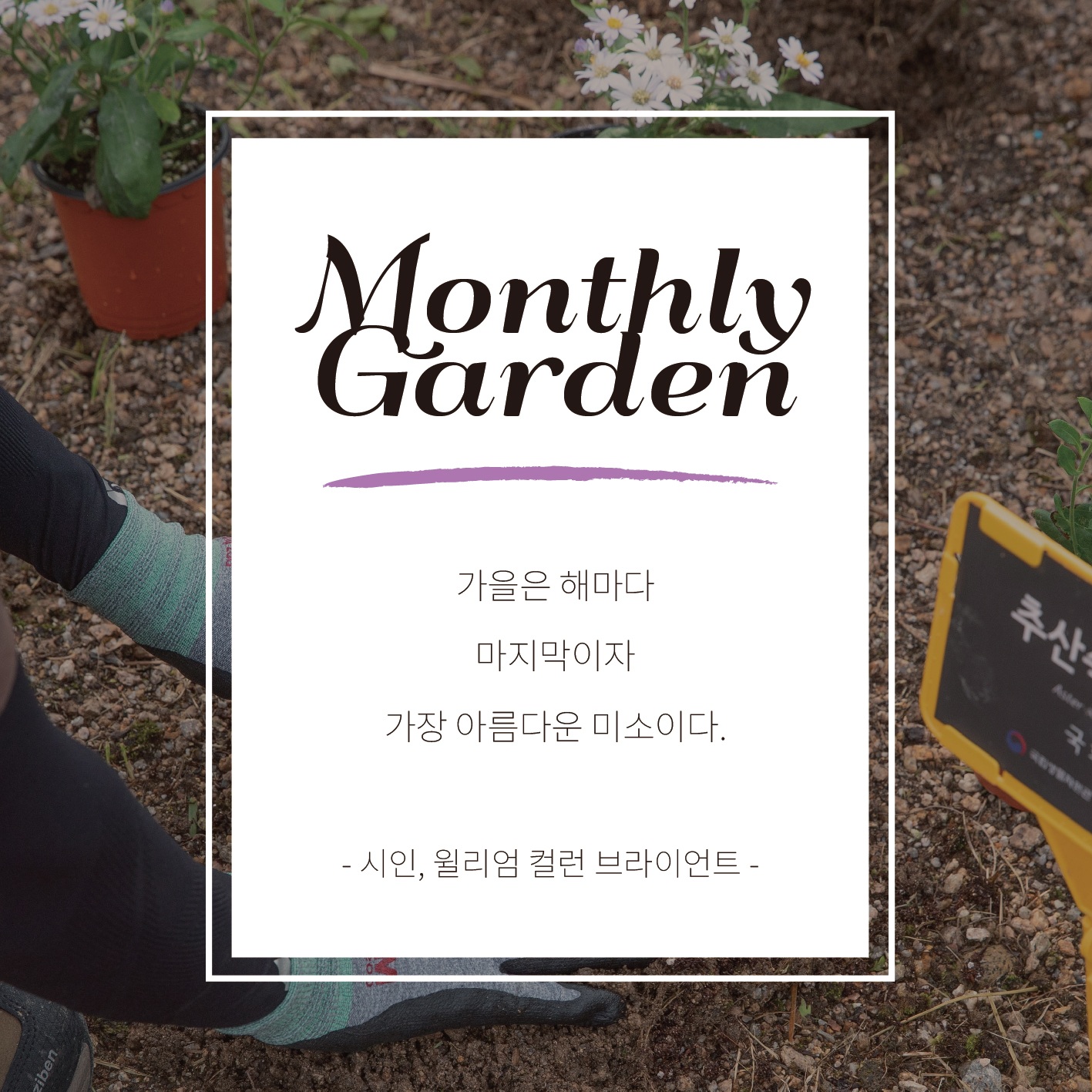 Monthly Garden
가을은 해마다 마지막이자 가장 아름다운 미소이다. 시인, 윌리엄 컬런 브라이언트