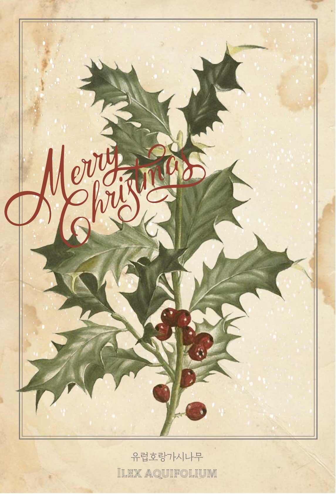 04.푸른수목원 비밀의 정원 12_1.jpg