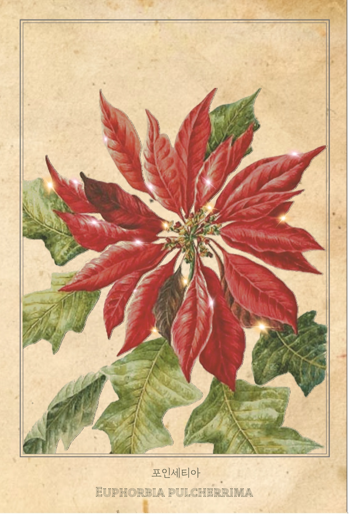 04.푸른수목원 비밀의 정원 12_3.jpg