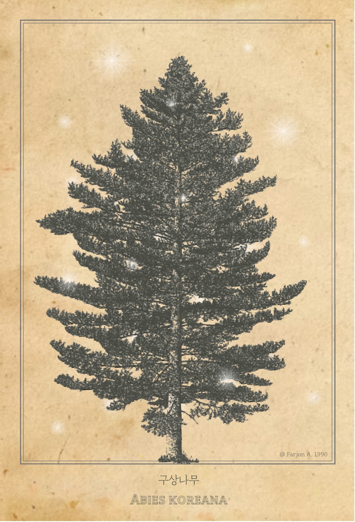 04.푸른수목원 비밀의 정원 12_4.jpg