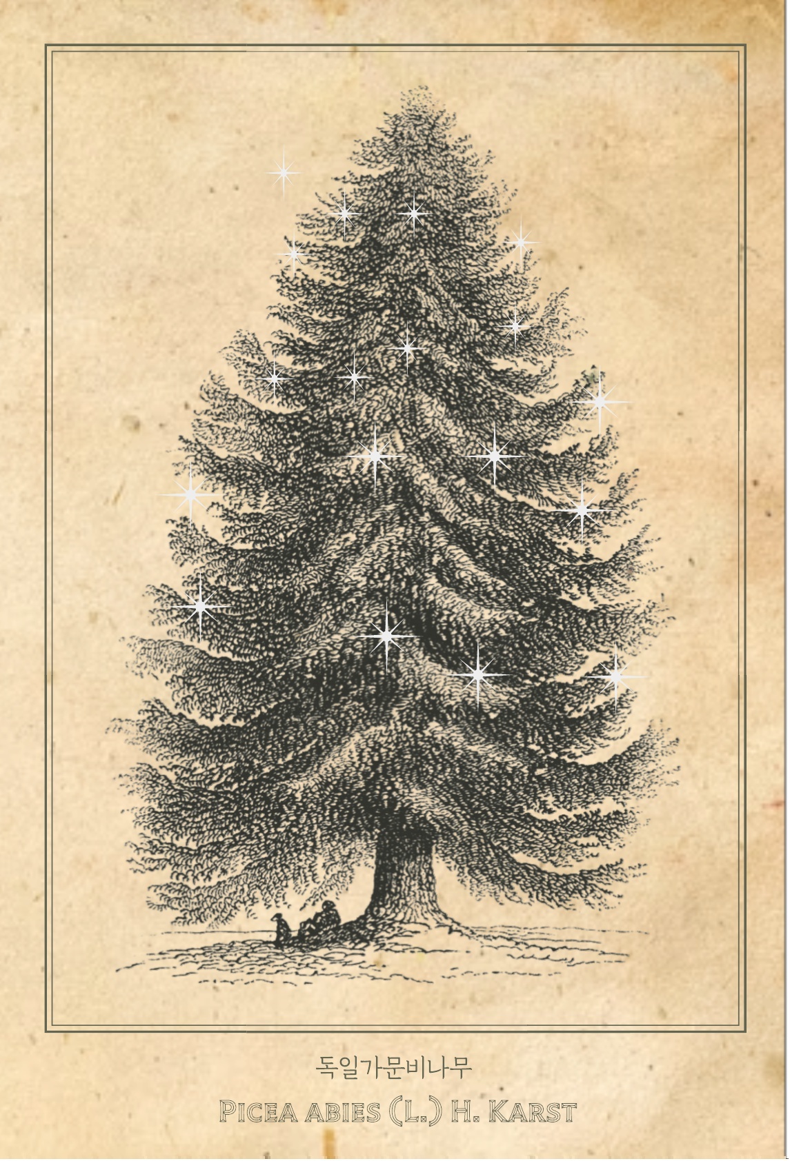 04.푸른수목원 비밀의 정원 12_5.jpg