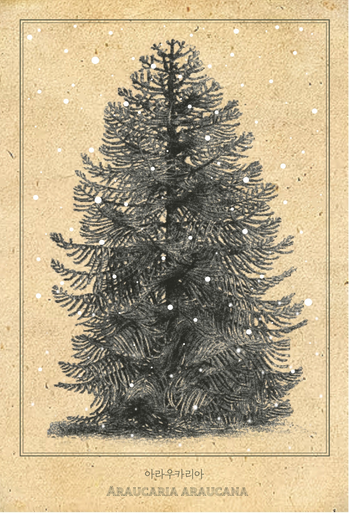 04.푸른수목원 비밀의 정원 12_6.jpg