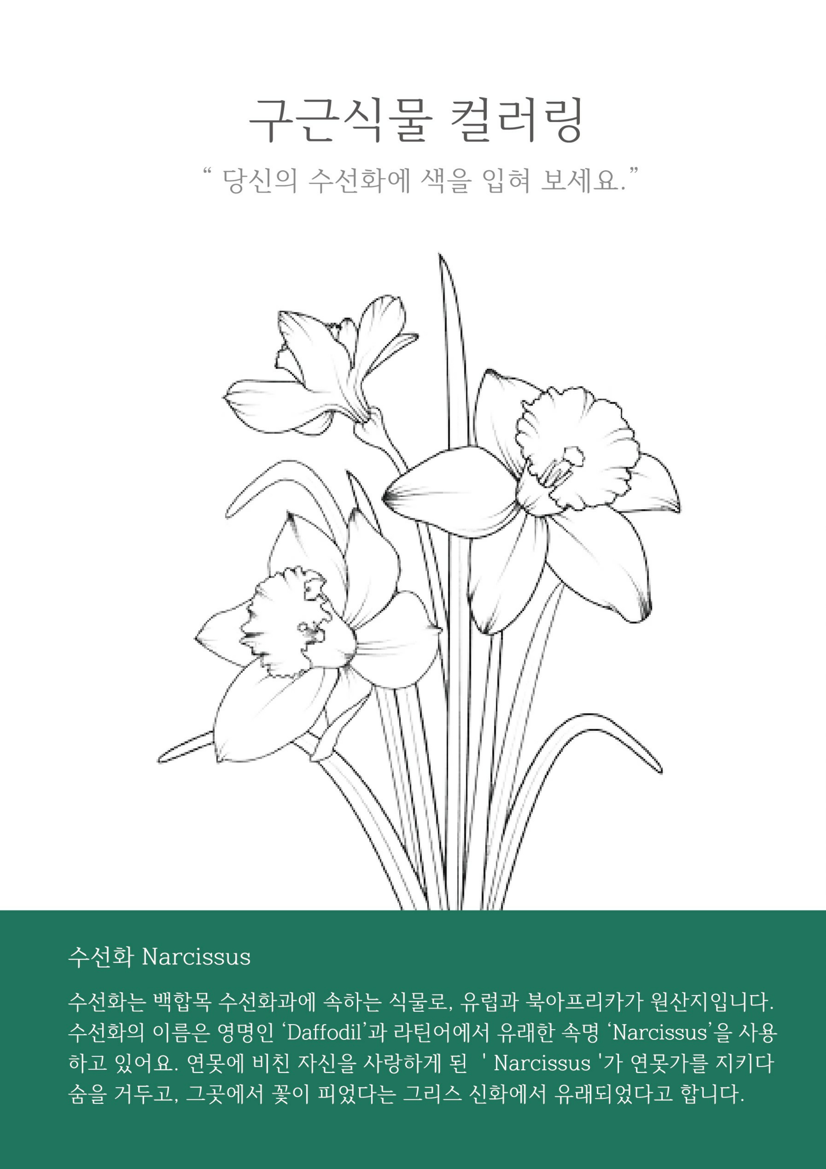 07.봄빛정원, 구근식물의 초대_4.jpg